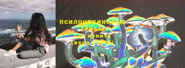 кокс Чита