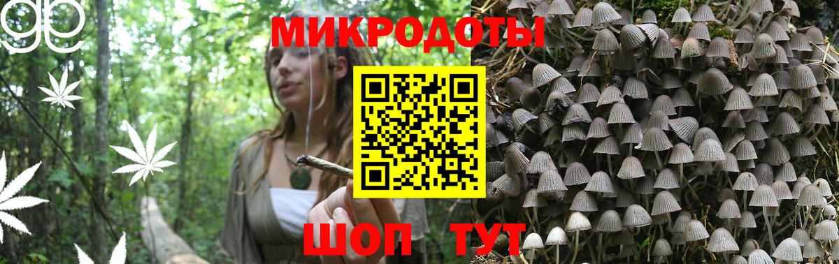 Псилоцибиновые грибы Cubensis Октябрьский