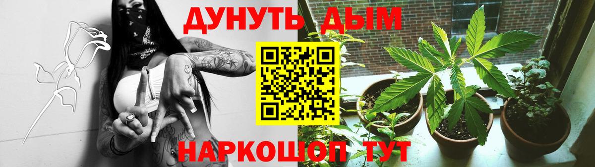 Бошки Шишки индика  Бошки Шишки THC 21%  Вход с VPN  Октябрьский  Бошки Шишки VHQ 
